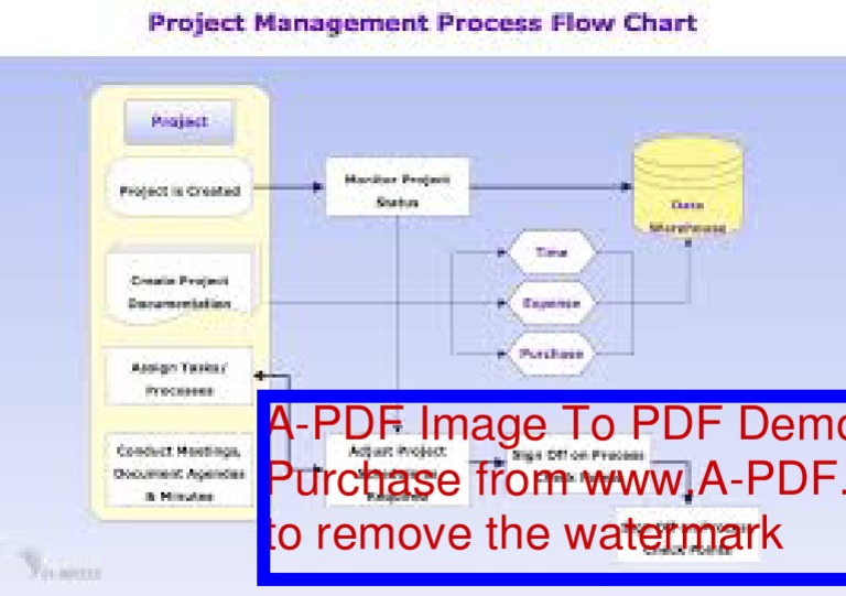 Project Managemproject Management Flowchartent Flowchart | PDF | Computers