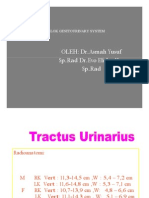 OLEH: DR - Asmah Yusuf SP - Rad DR - Evo Elidar HRP SP - Rad: Blok Genitourinary System