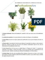 6 Plantas de Interior Recomendadas