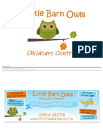 Little Barn Owl Presentation