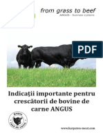 Catalog Despre Rasa Angus