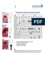 Cronograma ideal tratamiento niño fisura paladar