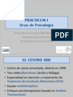 Practicum_1.pptx