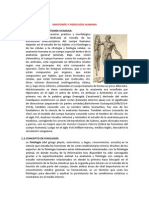 Anatomia Fisiologia Humana