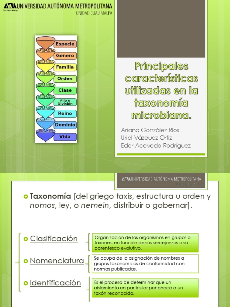 Principales características utilizadas en la taxonomía microbiana..pptx