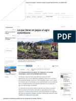 Sector Agro PDF