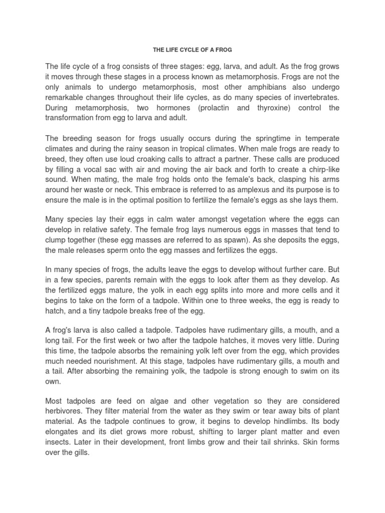 The Life Cycle of A Frog PDF Egg Frog