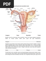 Kelainan Dan Penyakit Pada Sistem Reproduksi Wanita