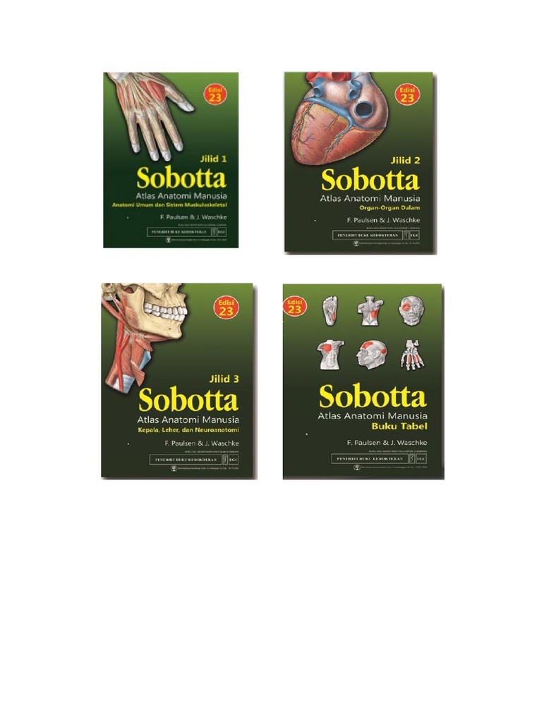 Sobotta | PDF