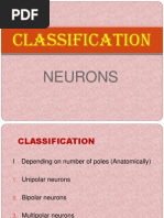 Classification