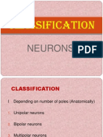 Classification