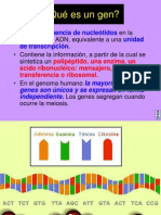 Transcripcion en Procariontes