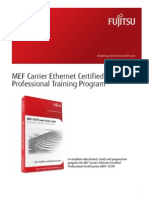 Mef Cecp Training