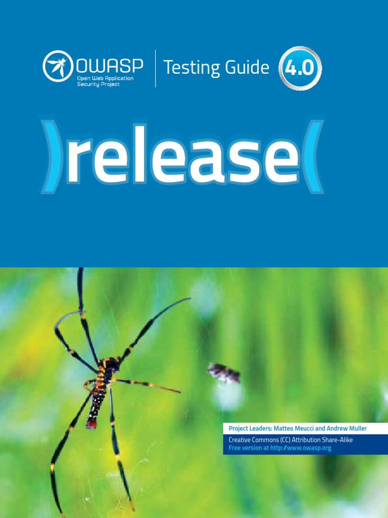 Owasp Testing Guide V4 Threat Computer Vulnerability Computing