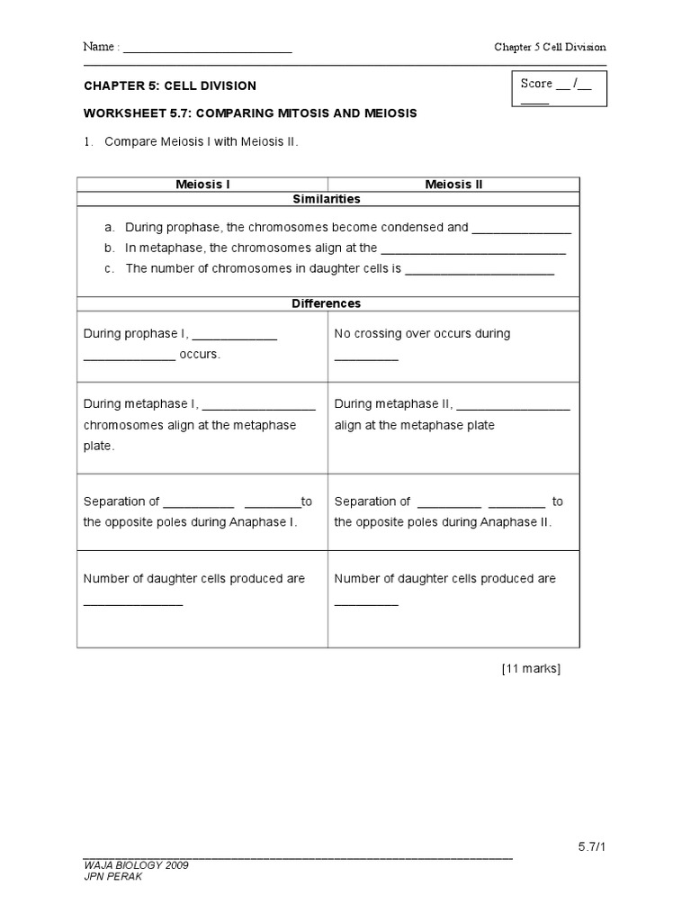 Worksheets Comparing Mitosis And Meiosis Worksheet worksheet 5 7 comparing mitosis and meiosis mitosis
