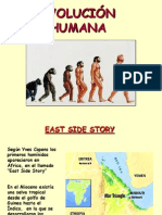 Evolucin Humana 1228211241607993 8