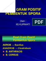 BACILUS PRESENTASI JADI