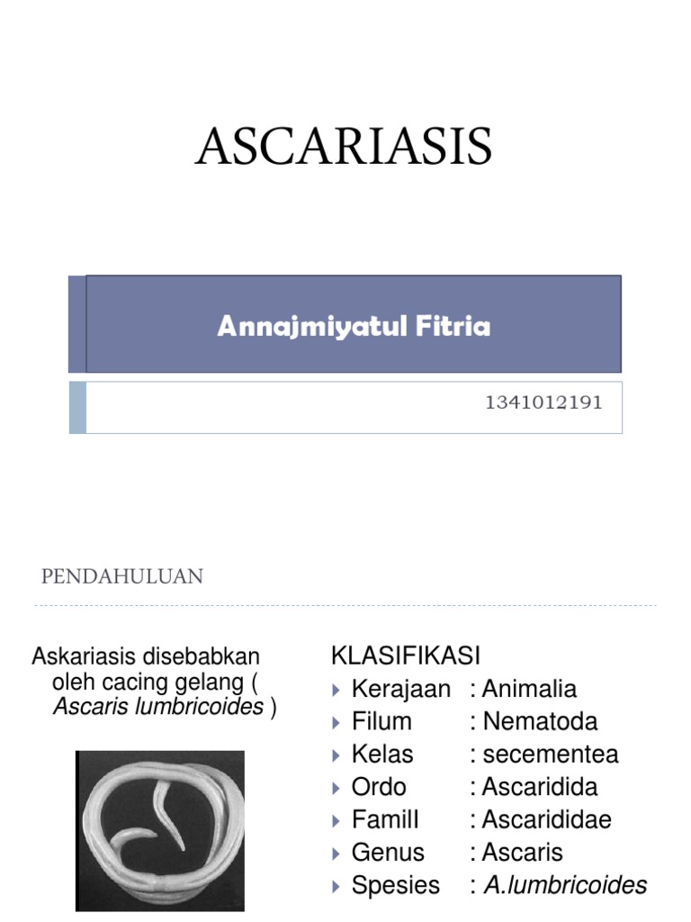 ascaris jelek)