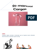 Pts-sso-006 Manejo Manual de Cargas