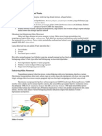 Fisiologi Reproduksi Wanita