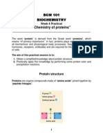 Week 4 Practical - Chemistry of Proteins