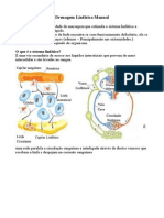 Drenagem Linfática Manual: Sistema Linfático e seus Componentes