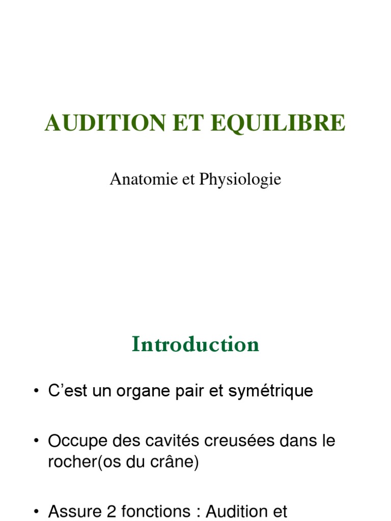 Anatomie de l'Audition et Équilibre | PDF | Système vestibulaire | Oreille