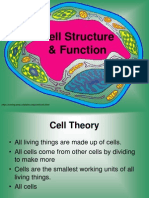 Cell Structure PP - Best