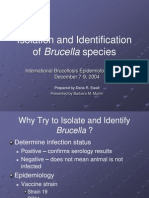 Isolation and Identification of Brucella Species