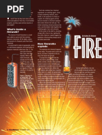 Understanding Firework Anatomy | PDF | Gunpowder | Fireworks