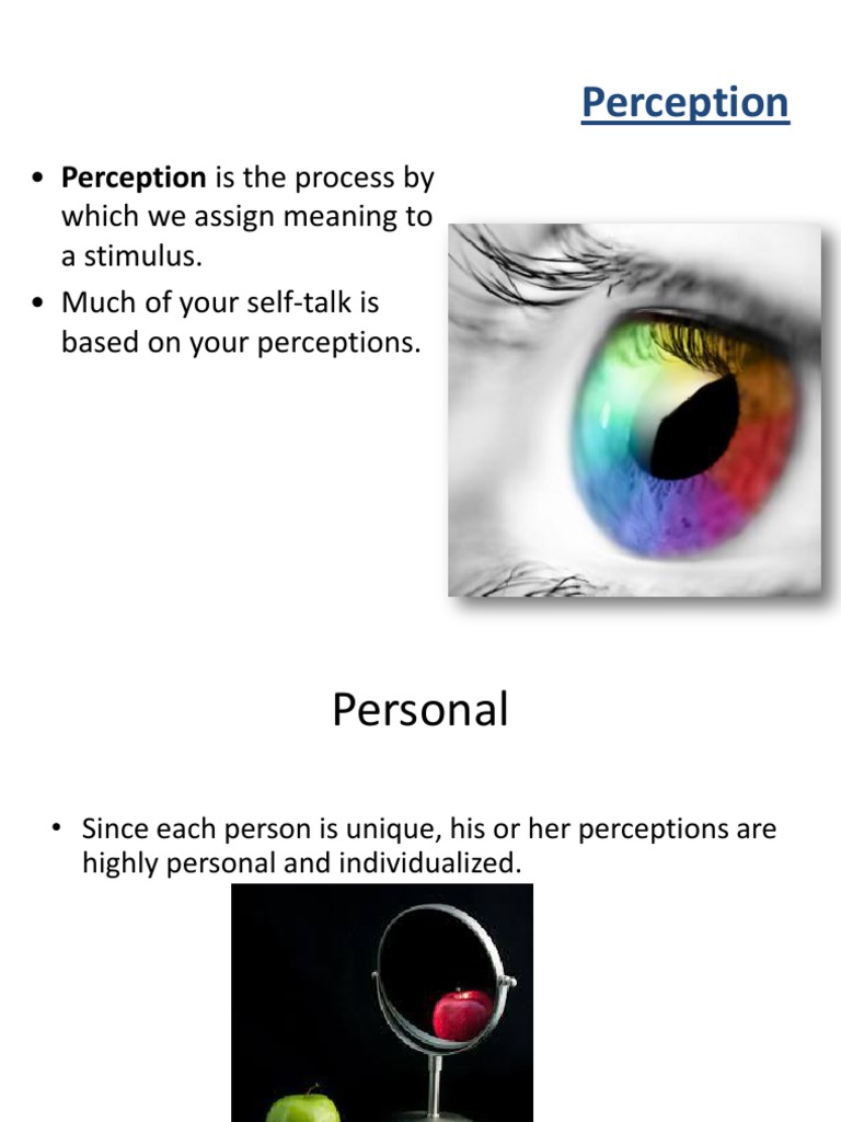 The Role of Perception in Communication | PDF | Stimulus (Physiology ...