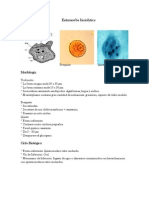 Entamoeba Histolytica