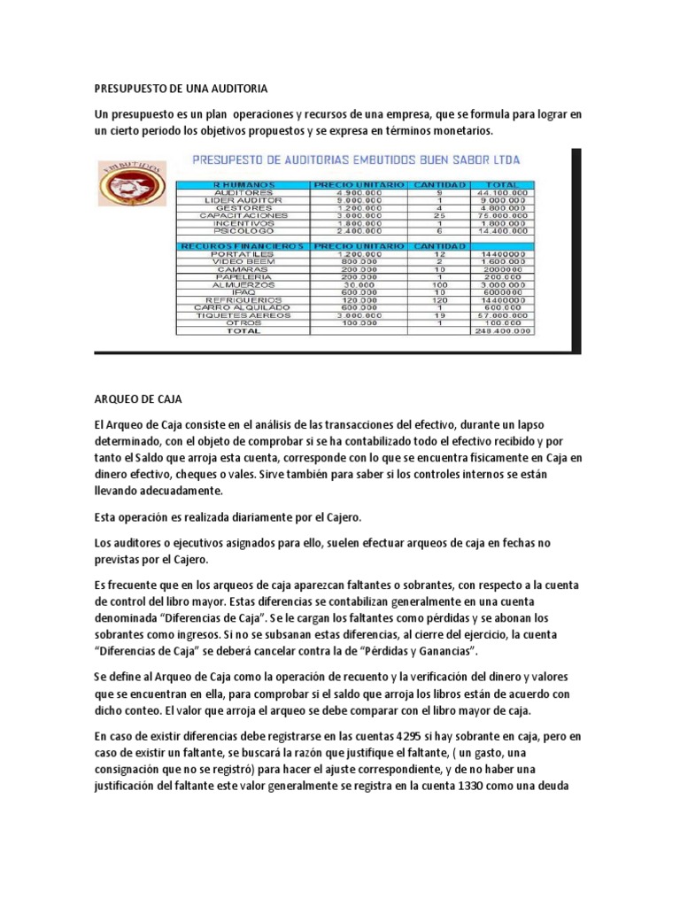Presupuesto de Una Auditoria . | PDF | Cheque | Euro