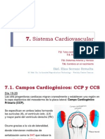 Sistema Cardiovascular