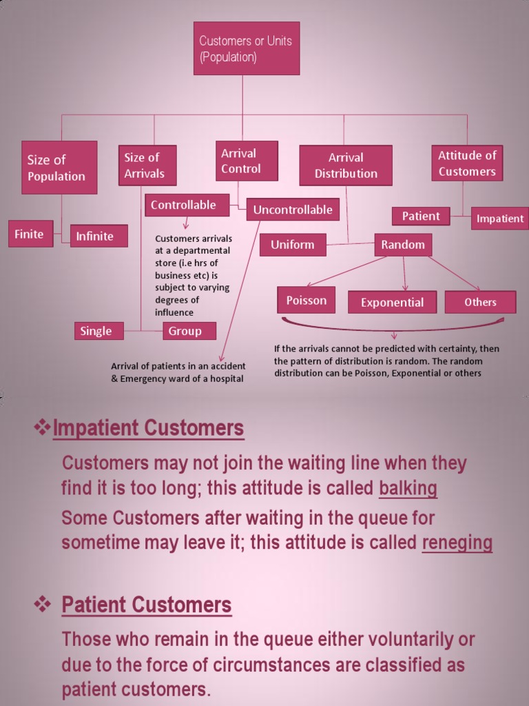 Customer Arrival Patterns in Queuing Systems | PDF | Poisson ...
