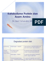 Katabolism Prot n a Amino 2013