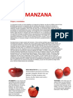 Manzana