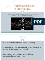 Perception Risk Vulnerability
