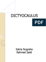 Dictyocaulus