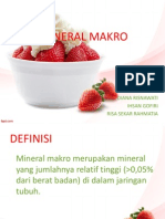 Mineral Makro PPT Fix