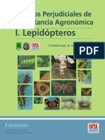 INTA Lepidopteros