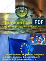 Politica Uniunii Europene În Domeniul Protecției