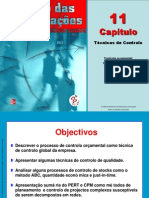 Gestao Das Organizacoes CAP 11