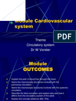 Module Cardiovascular System: Theme Circulatory System DR W Vorster