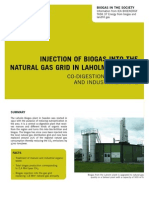 Injection of Biogas Into The Natural Gas Grid in Laholm, Sweden