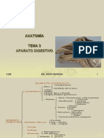 Anatomia Del Aparato Digestivo Animal