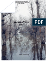 Remolino 4