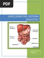 Afecciones Del Sistema Digestivo
