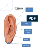 Obesidade, estômago, pâncreas e outros órgãos e áreas do corpo