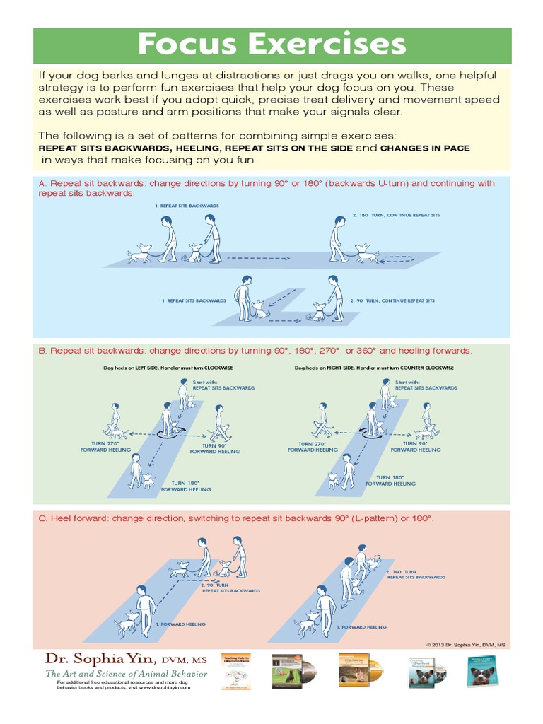 Dr. Sophia Yin's Focus Exercises Animals And Humans Transport